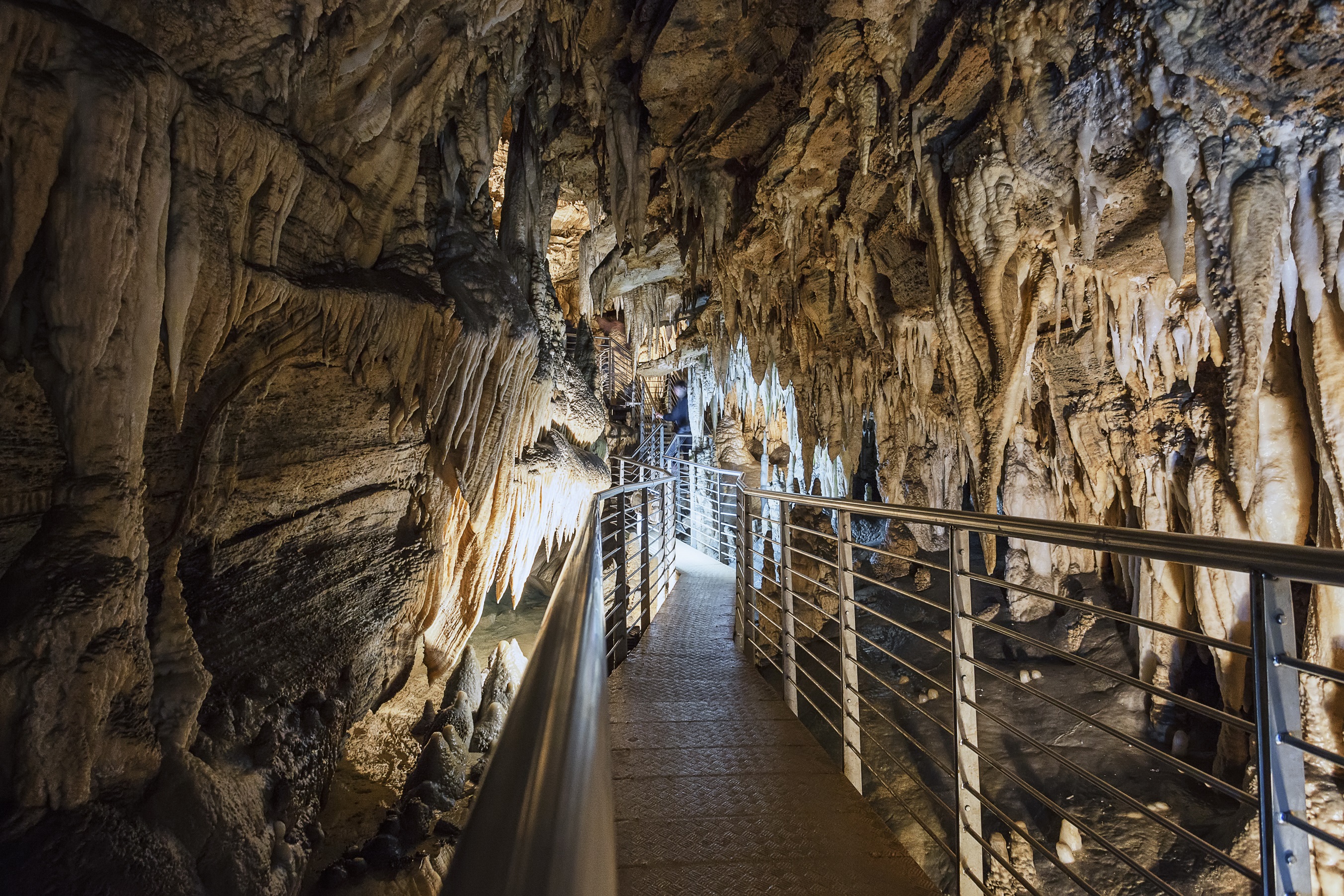 Grotta Turistica Antro del Corchia.jpg